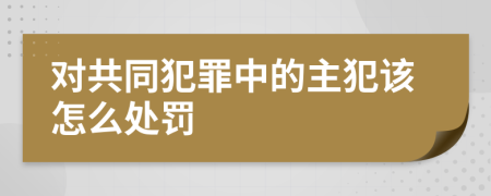 对共同犯罪中的主犯该怎么处罚