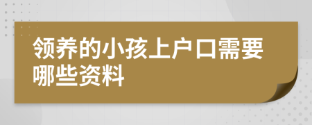 领养的小孩上户口需要哪些资料