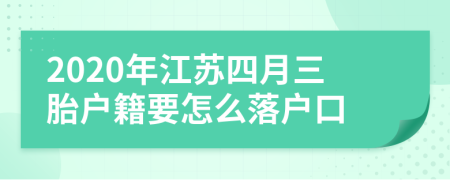 2020年江苏四月三胎户籍要怎么落户口