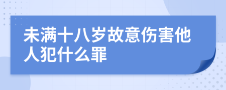 未满十八岁故意伤害他人犯什么罪