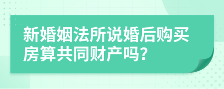 新婚姻法所说婚后购买房算共同财产吗？