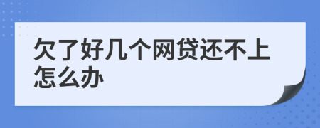 欠了好几个网贷还不上怎么办