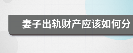 妻子出轨财产应该如何分