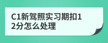 C1新驾照实习期扣12分怎么处理