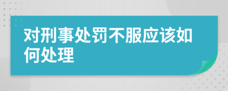 对刑事处罚不服应该如何处理