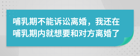 哺乳期不能诉讼离婚，我还在哺乳期内就想要和对方离婚了