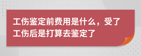 工伤鉴定前费用是什么，受了工伤后是打算去鉴定了