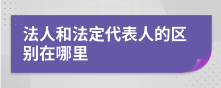 法人和法定代表人的区别在哪里