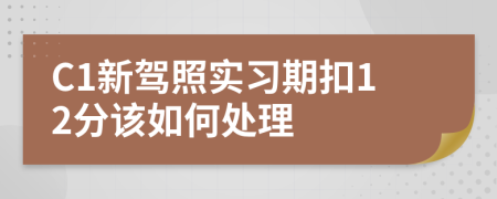 C1新驾照实习期扣12分该如何处理