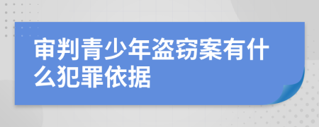 审判青少年盗窃案有什么犯罪依据