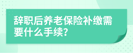 辞职后养老保险补缴需要什么手续？