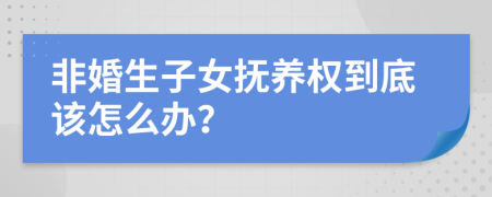 非婚生子女抚养权到底该怎么办？