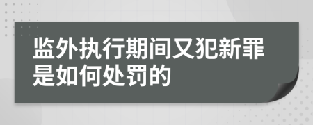 监外执行期间又犯新罪是如何处罚的