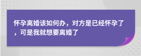 怀孕离婚该如何办，对方是已经怀孕了，可是我就想要离婚了