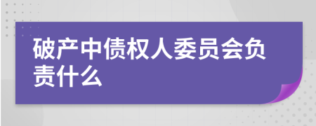 破产中债权人委员会负责什么