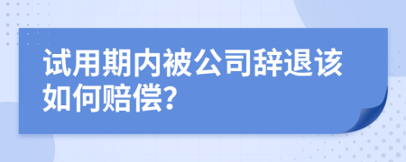 试用期内被公司辞退该如何赔偿？