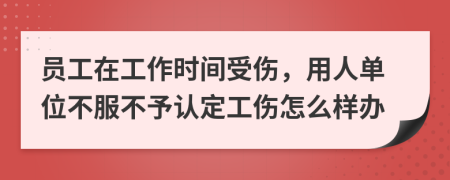 员工在工作时间受伤，用人单位不服不予认定工伤怎么样办