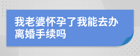 我老婆怀孕了我能去办离婚手续吗