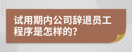 试用期内公司辞退员工程序是怎样的？