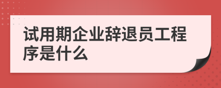 试用期企业辞退员工程序是什么