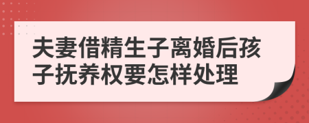 夫妻借精生子离婚后孩子抚养权要怎样处理