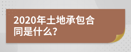 2020年土地承包合同是什么？