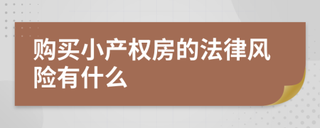 购买小产权房的法律风险有什么