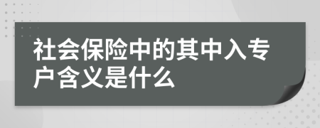 社会保险中的其中入专户含义是什么