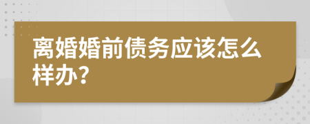 离婚婚前债务应该怎么样办？