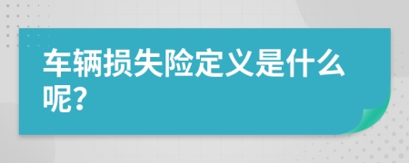 车辆损失险定义是什么呢？