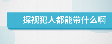 探视犯人都能带什么啊