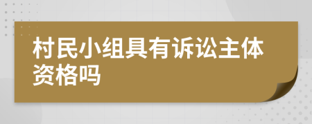 村民小组具有诉讼主体资格吗