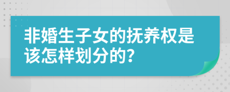 非婚生子女的抚养权是该怎样划分的？