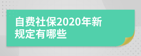 自费社保2020年新规定有哪些