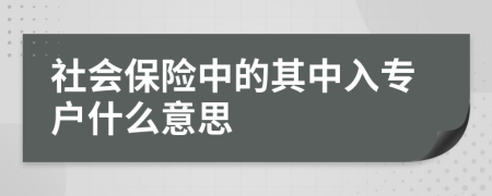 社会保险中的其中入专户什么意思