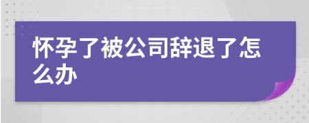 怀孕了被公司辞退了怎么办