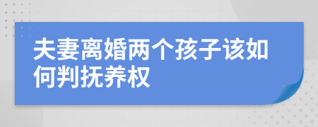 夫妻离婚两个孩子该如何判抚养权