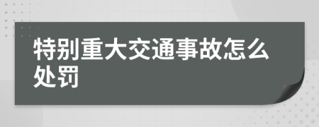 特别重大交通事故怎么处罚