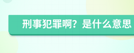 刑事犯罪啊？是什么意思