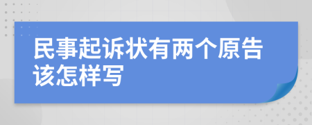 民事起诉状有两个原告该怎样写