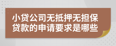 小贷公司无抵押无担保贷款的申请要求是哪些