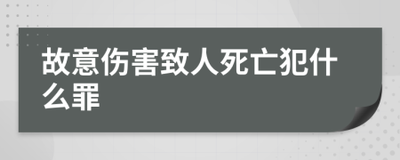 故意伤害致人死亡犯什么罪