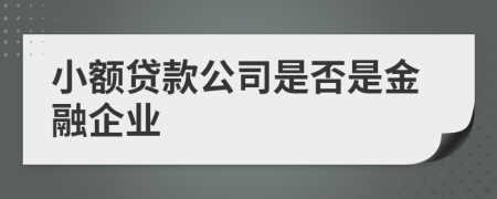 小额贷款公司是否是金融企业