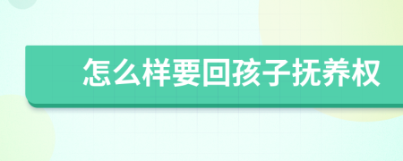 怎么样要回孩子抚养权