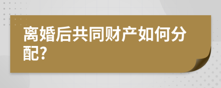 离婚后共同财产如何分配?