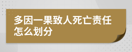 多因一果致人死亡责任怎么划分