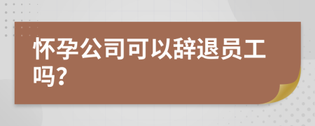 怀孕公司可以辞退员工吗？