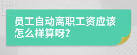 员工自动离职工资应该怎么样算呀？