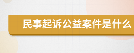 民事起诉公益案件是什么