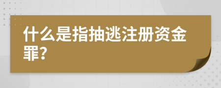 什么是指抽逃注册资金罪？